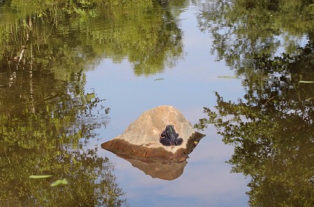 Обитаемый остров